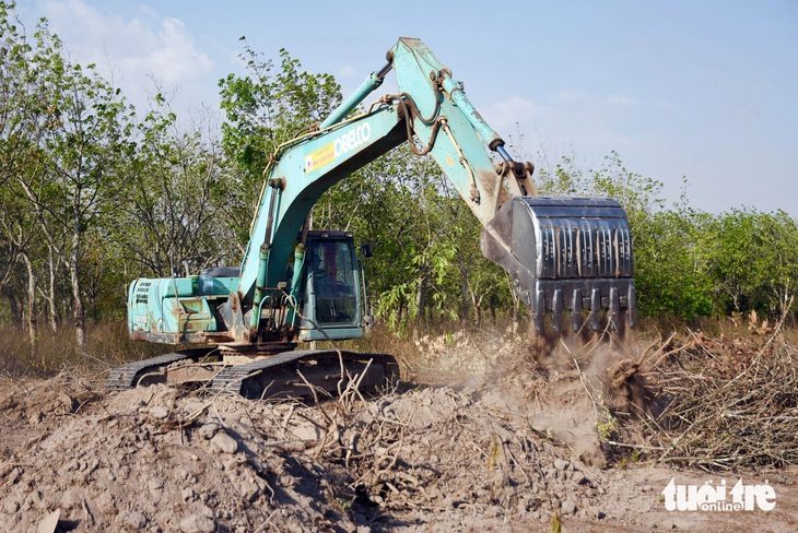 Nhà thầu thi công giải phóng mặt bằng đất cao su tại dự án thành phần 2 - Ảnh: A LỘC