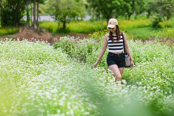 Ảnh: QUANG ĐỊNH Du lịch tự túc mang lại tự do và thoải mái cho du khách - Ảnh minh họa: QUANG ĐỊNH