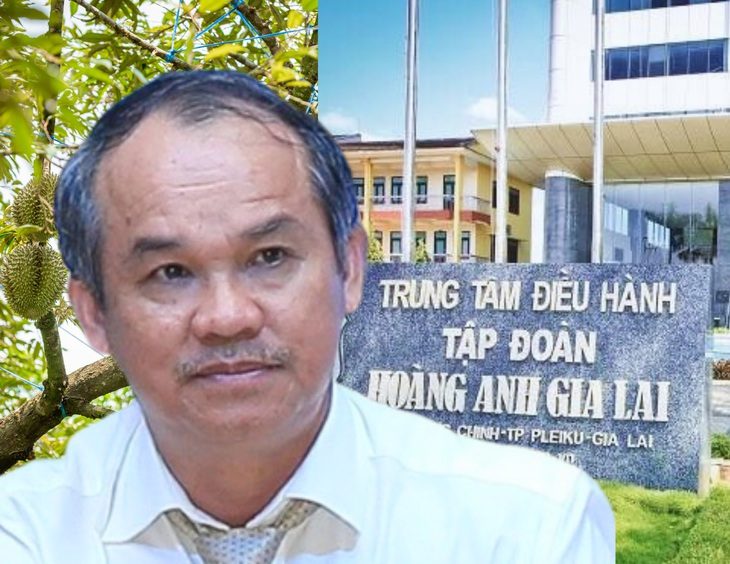 Bầu Đức đang tập trung trồng trái cây và chăn nuôi - Ảnh: HAG